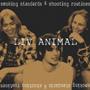 Liv Animal